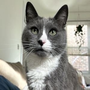 Fundraising Page: Caitlyn Tierney